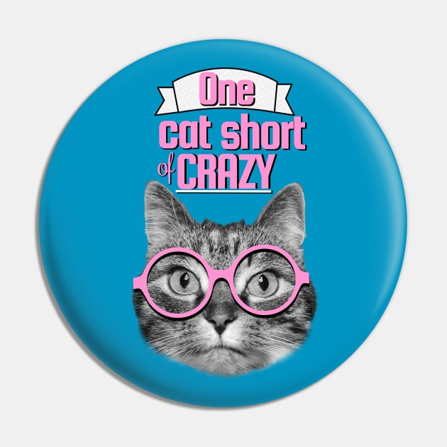 One cat short of crazy Pin by Purrfect