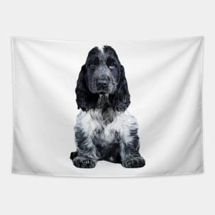 English Cocker Spaniel Blue Roan Tapestry