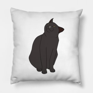 SMUG BLACK CAT MEME Pillow