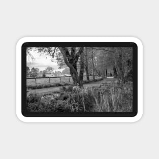 Woodland path in the English countryside Magnet