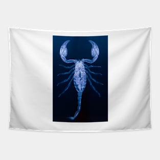 X-ray of the scorpion, Palamnaeus fulvipes (Z420/0010) Tapestry