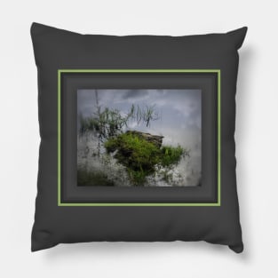 Reflections in Pond Pillow