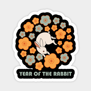 Year Of The Rabbit Magnet