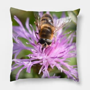 Bee On Purple Flower Pillow