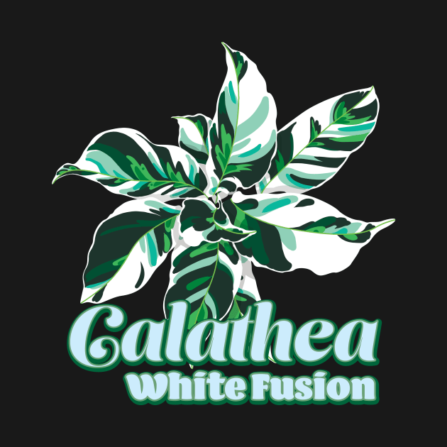Calathea White Fusion by LEO+SKYLAR