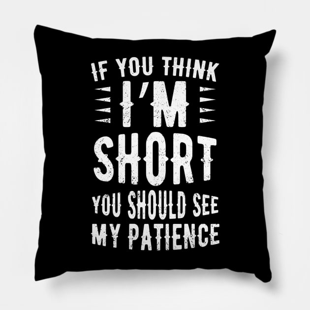 If You Think I'm Short You Should See My Patience Pillow by Alennomacomicart