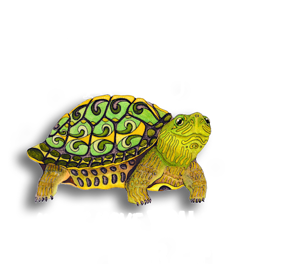 I Saved A Turtle Today... Kids T-Shirt by FreeSpiritMeg