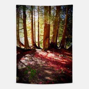 Forest Beams, Stourhead Landscape Gardens, UK Tapestry