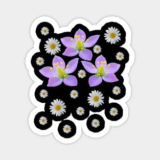 flower meadow pink daisy daisies blooms florets Magnet