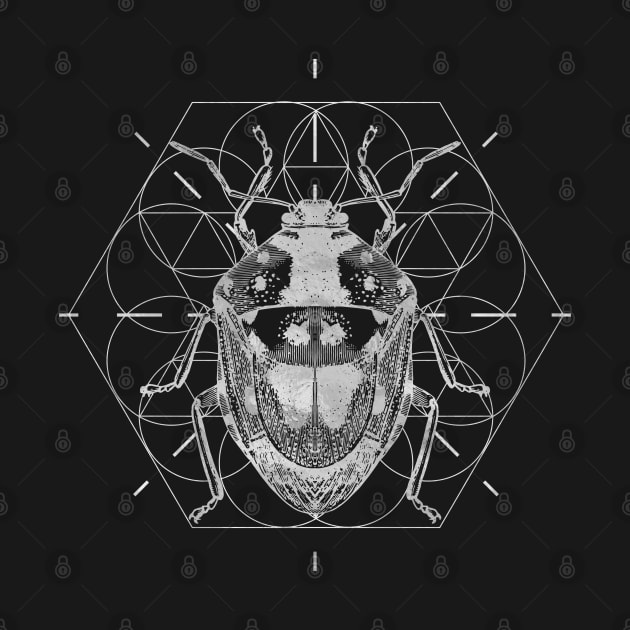 Sacred Geometry Soldier Bug by Nartissima