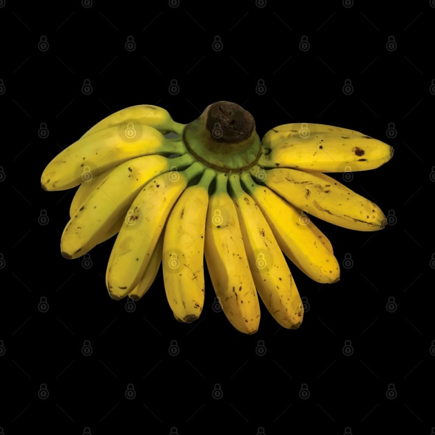 isolated banana by FOGSJ