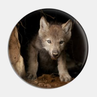 Eastern Wolf Pup Pin