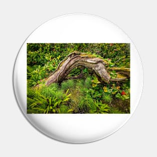 Forest floor, Pacific Rim National Park Pin