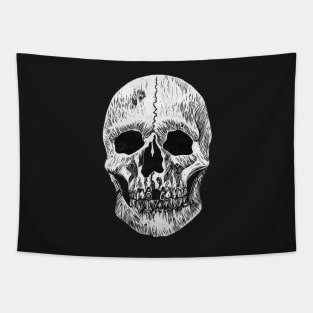 Skull Print - Anatomy Print - Skeleton Tapestry