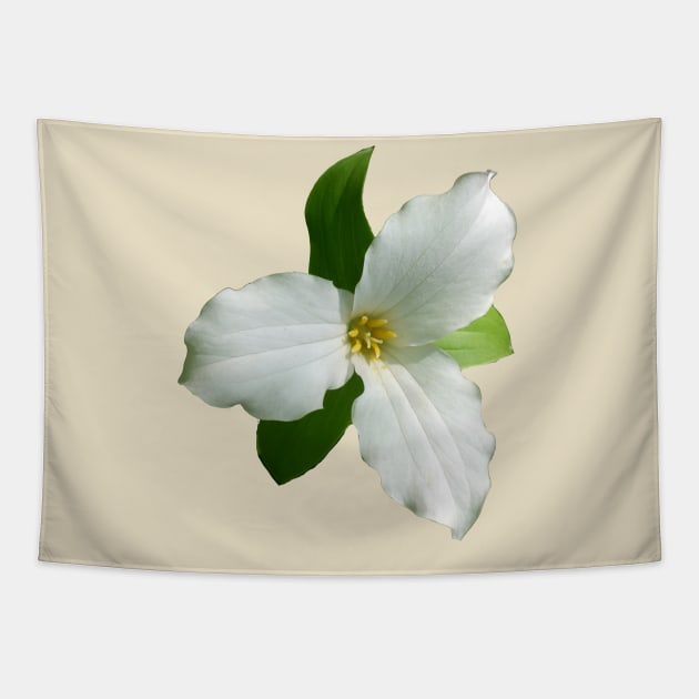 White Trillium Tapestry by Betty500_B