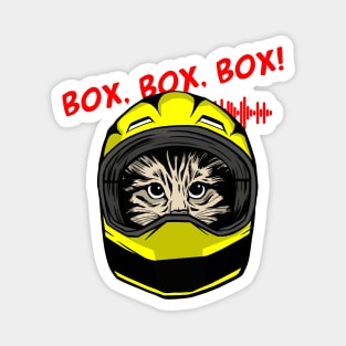 funny cat driver – Box, box, box! (Silvinho) Magnet