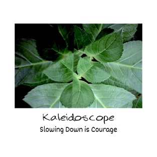 Kaleidoscope Slowing Down is Courage T-Shirt