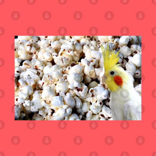 popcorn cockatiel by FandomizedRose