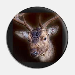 Deer Stag Pin