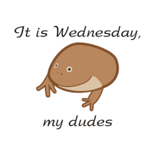 It is wednesday my dudes. Лягушка Wednesday. Лягушка it is Wednesday my dudes. Жаба Wednesday. Жабка Wednesday.