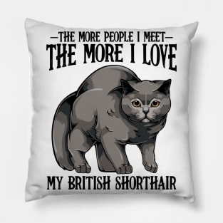 British Shorthair Cat Pillow