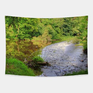 Almond Weir Tapestry