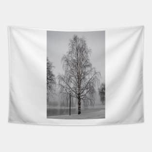 Tree in Winter Tapestry