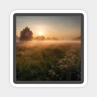 Sunrise over a green meadow fog rises in the summer Magnet