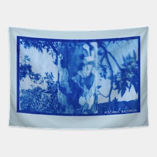 Western Sycamore Cyanotype Tapestry