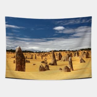 Pinnacles Desert Tapestry