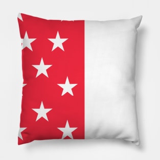 Stars are Shining! Pillow