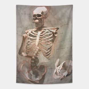 A Skeletal Study Tapestry