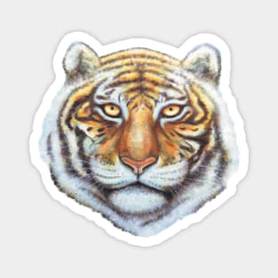 Snow Tiger Head (cut out) Magnet