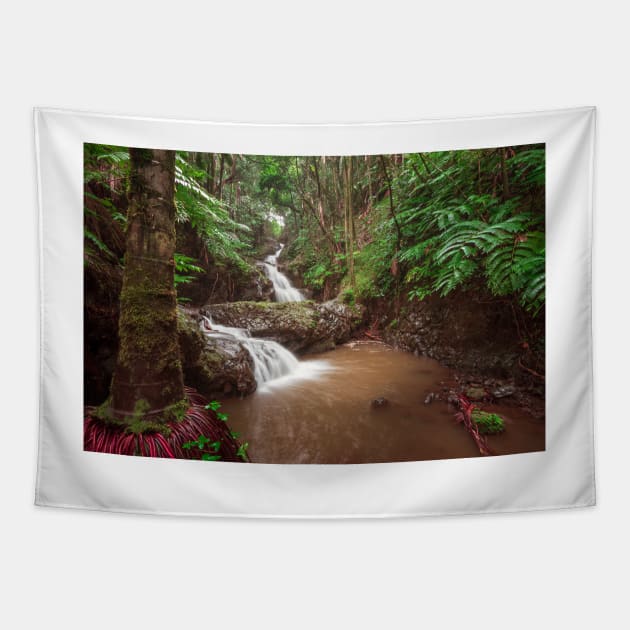 Double waterfall in the rainforest in Hawaii Tapestry by jswolfphoto