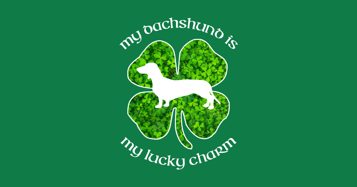 saint patricks day dachshunfd picture