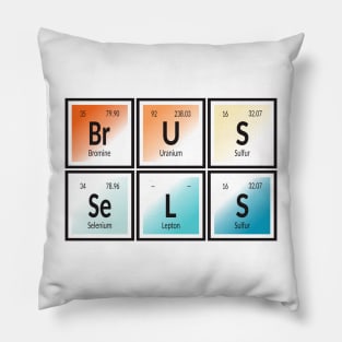 Brussels City Pillow