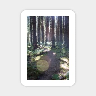 Enchanted Woods Magnet