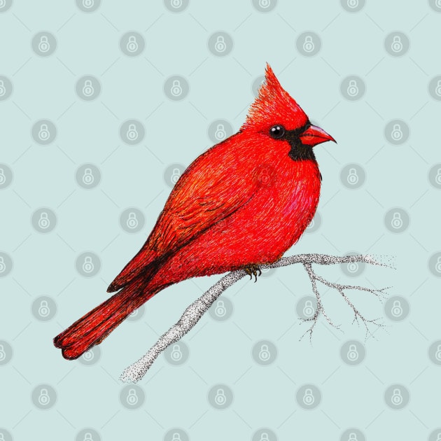 Northern cardinal pen drawing by Bwiselizzy