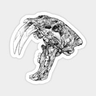 Sabertooth Tiger Skull Magnet