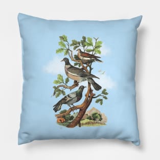 Dove Nature Illustration Pillow