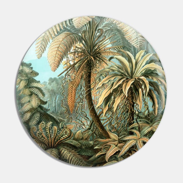 Filicinae by Ernst Haeckel Pin by MasterpieceCafe