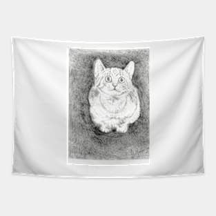 Hypo realistic crouching cat Tapestry