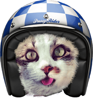 Biker Cat Magnet