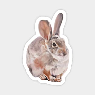 Desert Cottontail rabbit painting (no background) Magnet