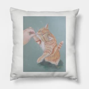 Treats Pillow