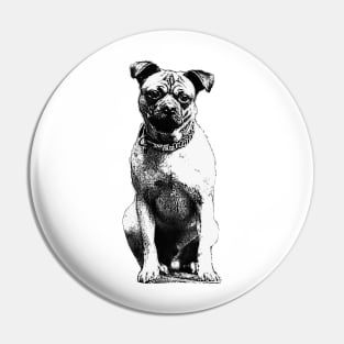 Dog sitting Pin