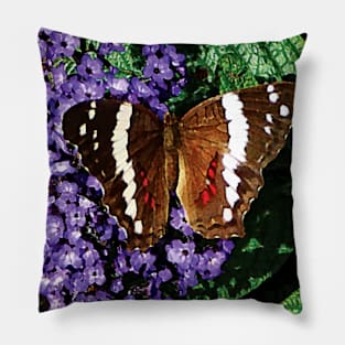 Butterflies - Black Butterfly on Heliotrope Pillow