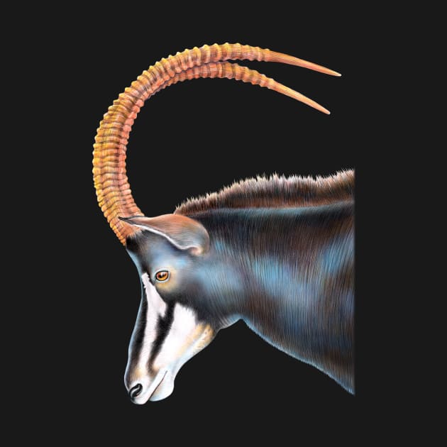 Sable Antelope by Tim Jeffs Art