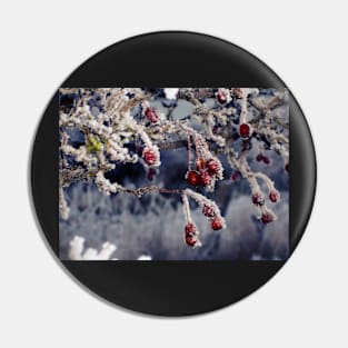 Frosted Berries Pin