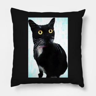 Yellow Eyed Tuxedo Cat Portrait Pillow